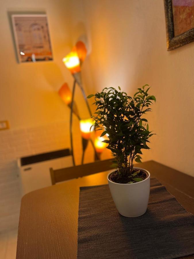 Romeo Apartment Livorno Eksteriør billede
